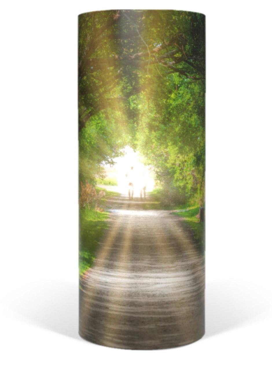 Towards The Light Scatter Tube
